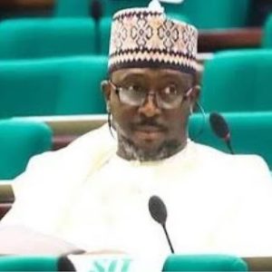 Court Sacks APC House Of Reps Member For Dumping PDP