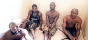 Army Arrest 7 Cultists, Robbers In Benue