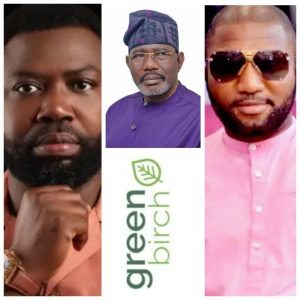 Tenants Of Lekki Facility Accuse Greenbirch Limited Of Intimidation, Harassment, And Breach Of Peace