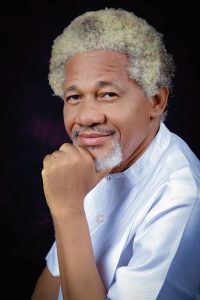 FOREIGN AIRSTRIKES WILL NOT FIX NIGERIA’S INSECURITY