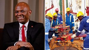 Tony Elumelu Appointed As Non-Executive Director At Seplat Energy After M&P Divestment.