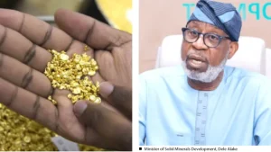 NEF, Zamfara Govt Opposes Location of ‘National Gold Refinery’ in Lagos