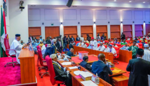Snake Bite: Senate Calls for Mandatory Antivenom in Hospitals.